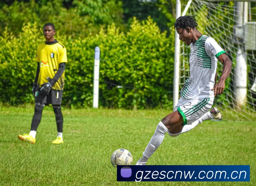 欧宝·官方端网站登录入口 - 欧宝(中国)服务体系